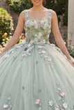 Sage Green Ball Gown Square Neck Quinceañera Dress with Appliques