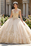 Champagne V-Neck Ball Gown Quinceañera Dress with Appliques