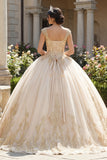 Champagne V-Neck Ball Gown Quinceañera Dress with Appliques