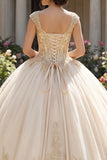 Champagne V-Neck Ball Gown Quinceañera Dress with Appliques