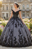 A Line Black Off the Shoulder Princess Quinceañera Dress with Appliques