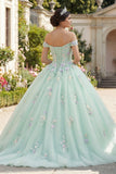 Ball Gown Light Green Off the Shoulder Quinceañera Dress with Appliques