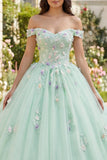 Ball Gown Light Green Off the Shoulder Quinceañera Dress with Appliques