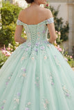Ball Gown Light Green Off the Shoulder Quinceañera Dress with Appliques