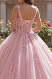 Spaghetti Straps Pink Corset Quinceañera Dress with Appliques