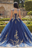 Ball Gown Navy Appliqued Quinceañera Dress