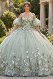 Ball Gown Appliqued Sage Green Quinceañera Dress with Puff Sleeves