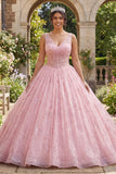Corset Pink V-Neck Long Quinceañera Dress with Appliques