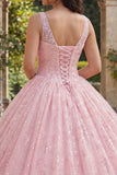 Corset Pink V-Neck Long Quinceañera Dress with Appliques