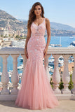 Pink Mermaid Tulle Long Prom Dress with Appliques