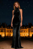 Halter Velvet Purple Long Formal Dress