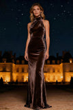 Halter Velvet Purple Long Formal Dress
