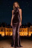 Halter Velvet Purple Long Formal Dress