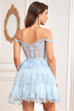 Cute A Line Corset Tiered Little Black Dress with Lace