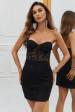 Corset Lace Tight Little Black Dress